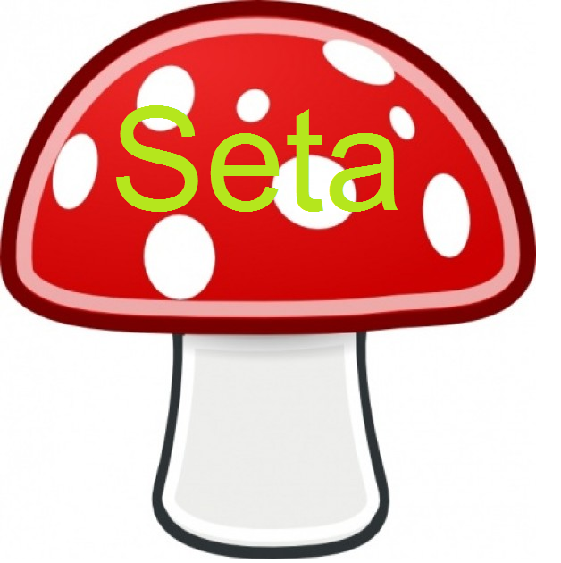 Seta-Logo